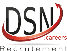 logo DSN.careers, recrutement de dsi